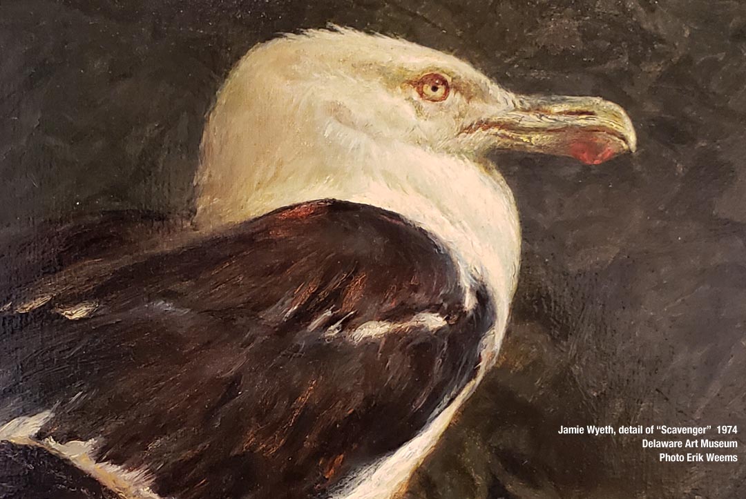 Detail image of Scavenger by Jamie Wyeth